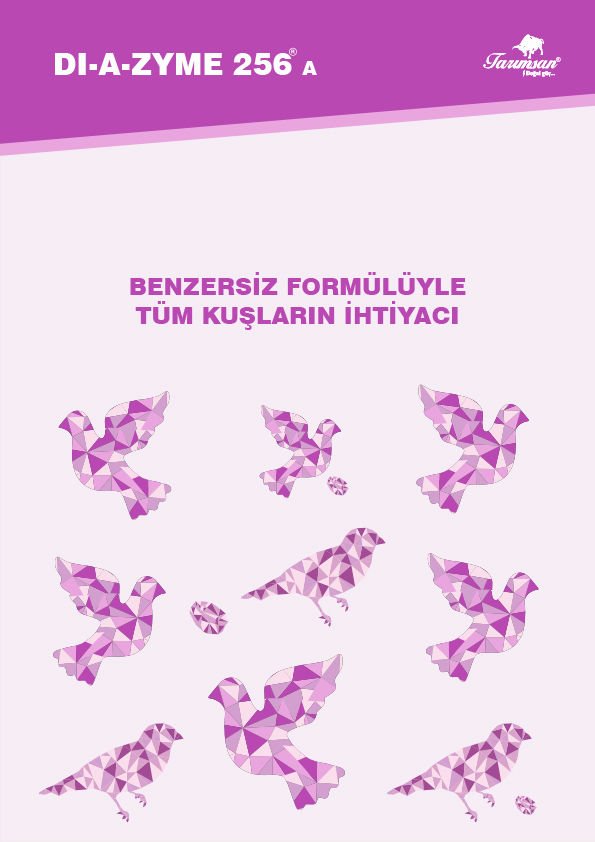 DI-A-ZYME%20256%20Probiyotik%20DİYAZEM%20Takviyesi%201kg