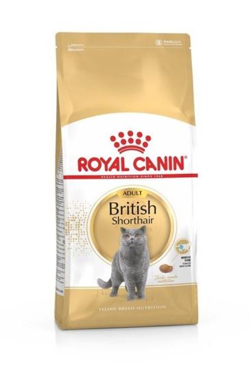 Royal Canin British Shorthair Kedi Maması 2 KG